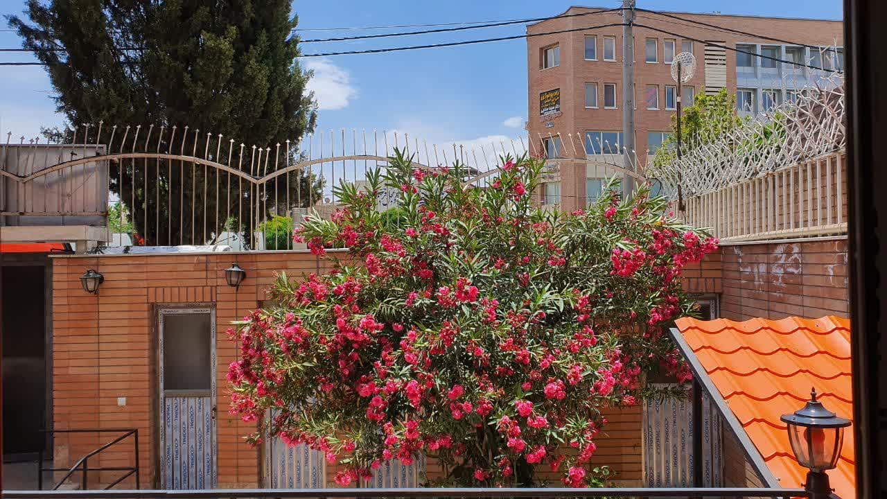 تصویر بخش تصویربرداری