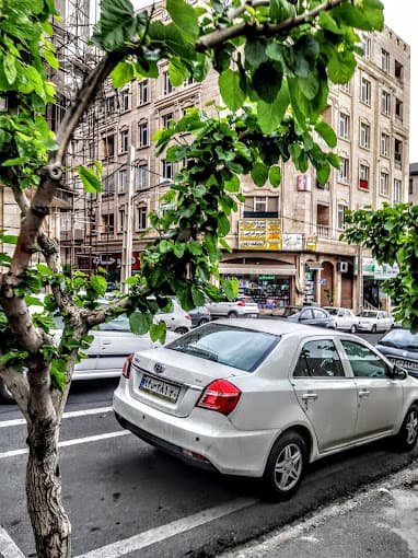 رادیولوژی مهرگان تهران