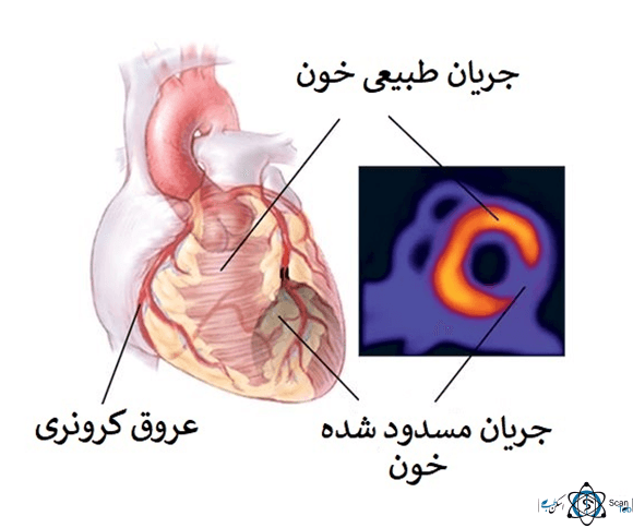 تصویر بخش تصویربرداری