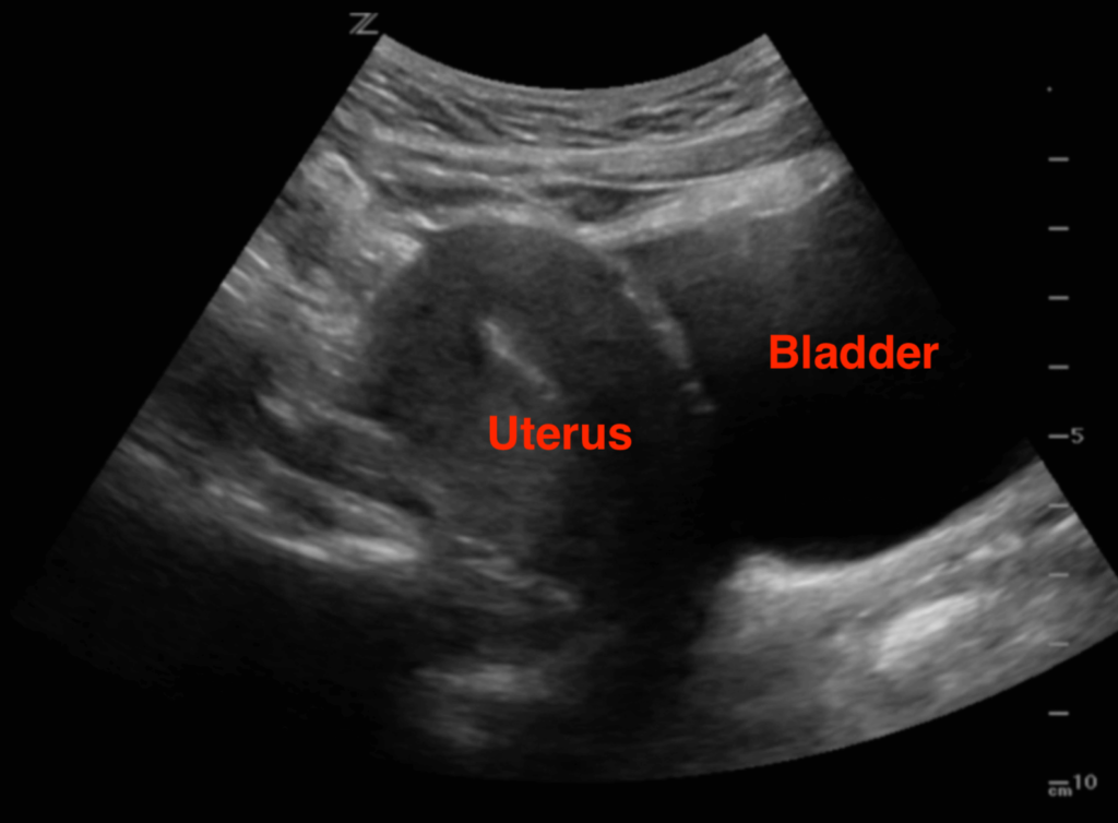 Ultrasound centers and their services